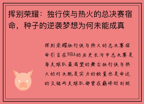 挥别荣耀：独行侠与热火的总决赛宿命，种子的逆袭梦想为何未能成真