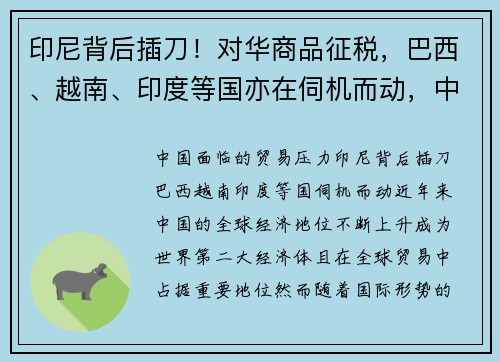 印尼背后插刀！对华商品征税，巴西、越南、印度等国亦在伺机而动，中国面临何种贸易压力？