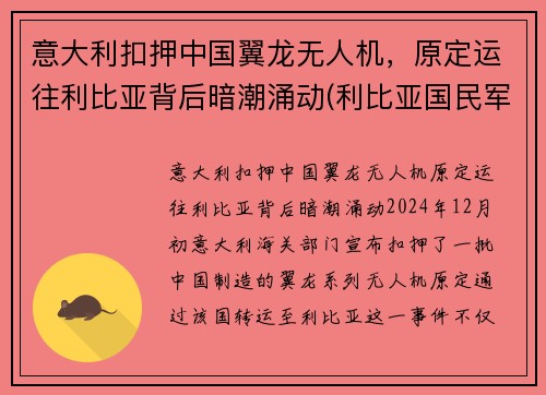 意大利扣押中国翼龙无人机，原定运往利比亚背后暗潮涌动(利比亚国民军翼龙无人机)